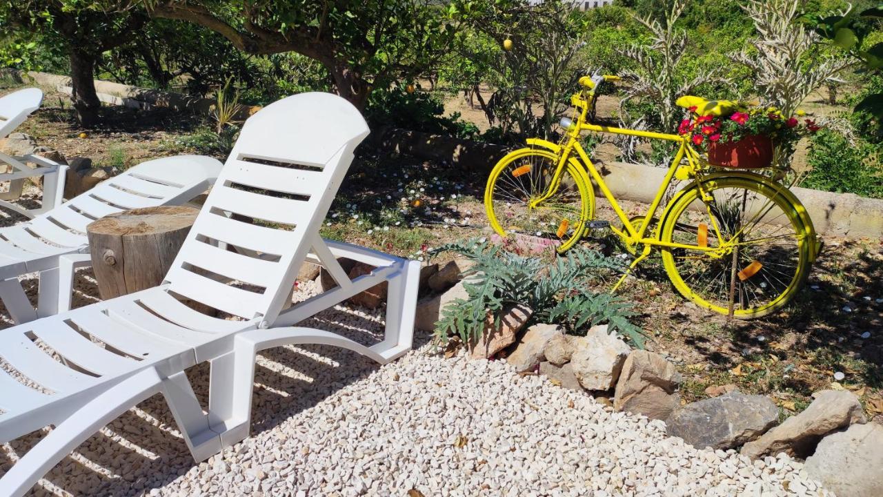 Finca Barahona Casa Barahona Casa Bahoruco, Casa Bohechio アルテア エクステリア 写真