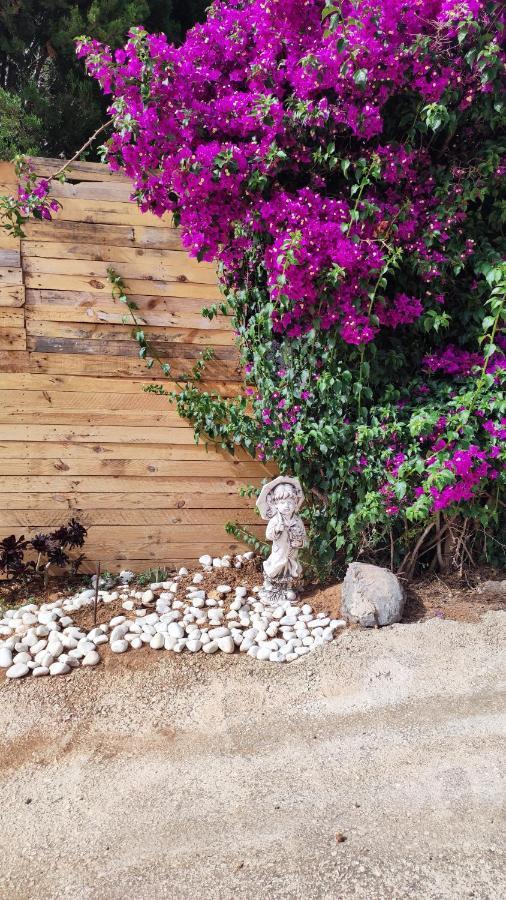 Finca Barahona Casa Barahona Casa Bahoruco, Casa Bohechio アルテア エクステリア 写真