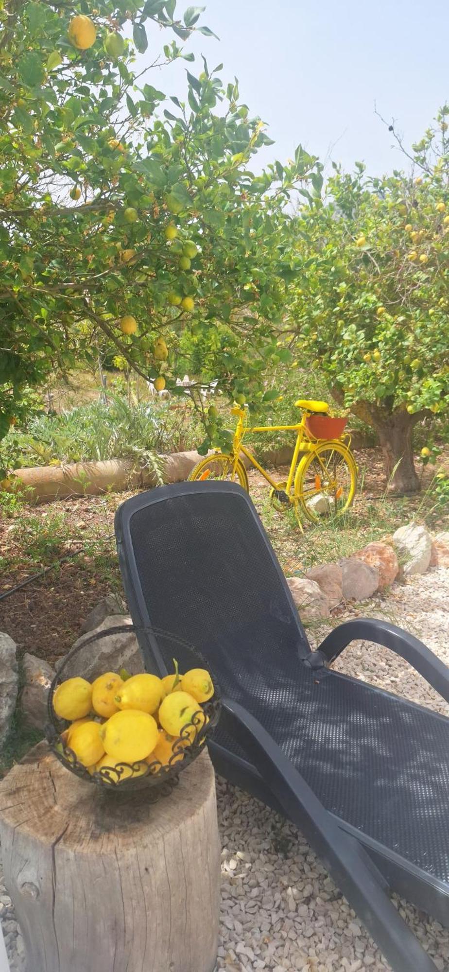 Finca Barahona Casa Barahona Casa Bahoruco, Casa Bohechio アルテア 部屋 写真