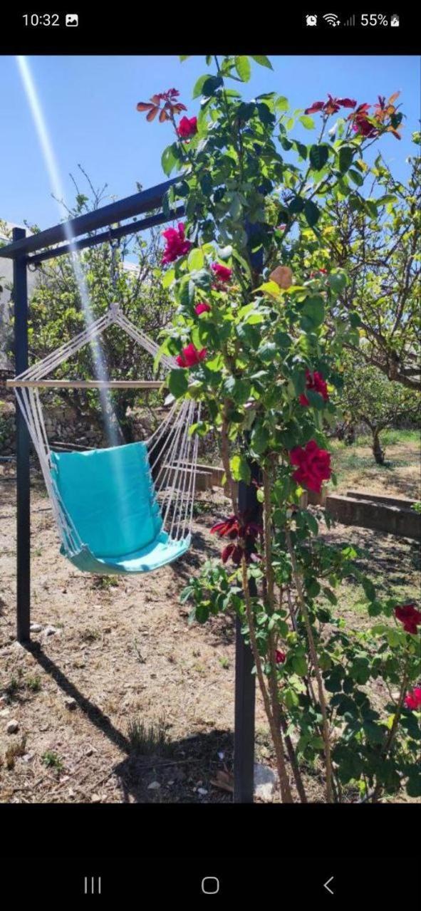 Finca Barahona Casa Barahona Casa Bahoruco, Casa Bohechio アルテア 部屋 写真