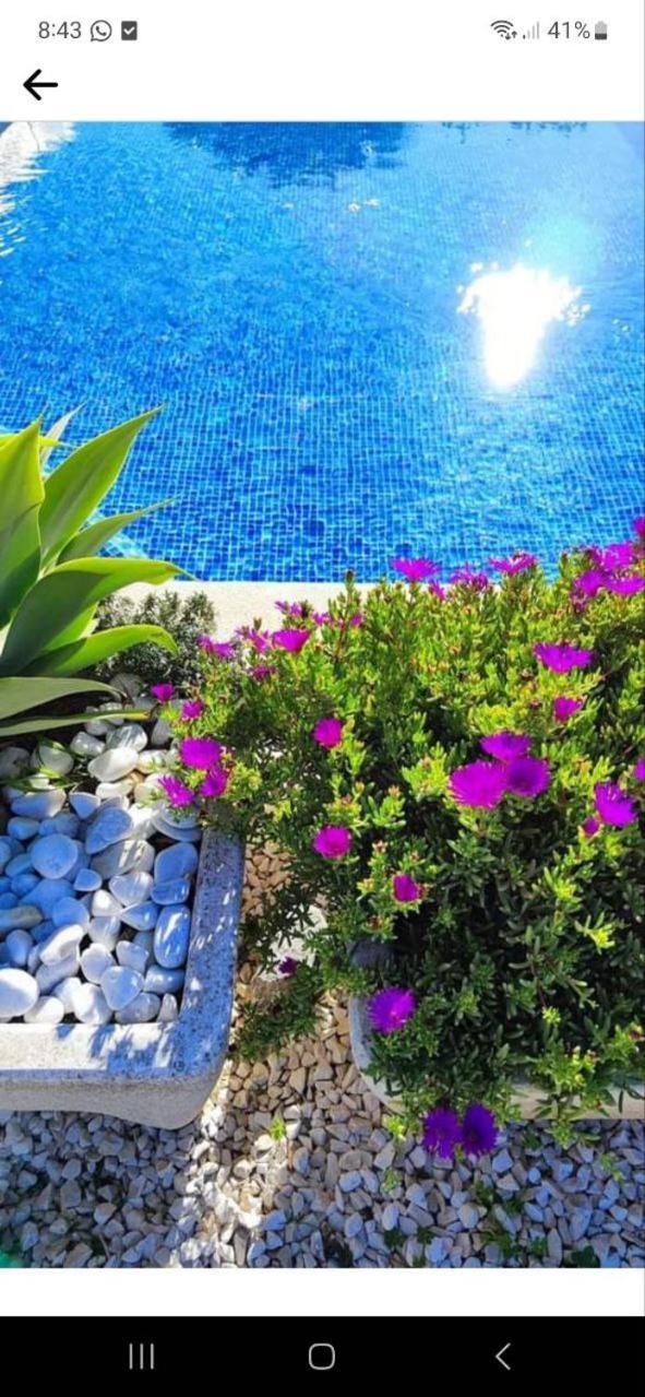 Finca Barahona Casa Barahona Casa Bahoruco, Casa Bohechio アルテア 部屋 写真